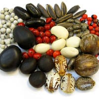natural_seed_beads